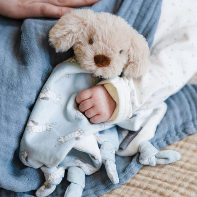 Lovie/Comforter - Barklife Dog