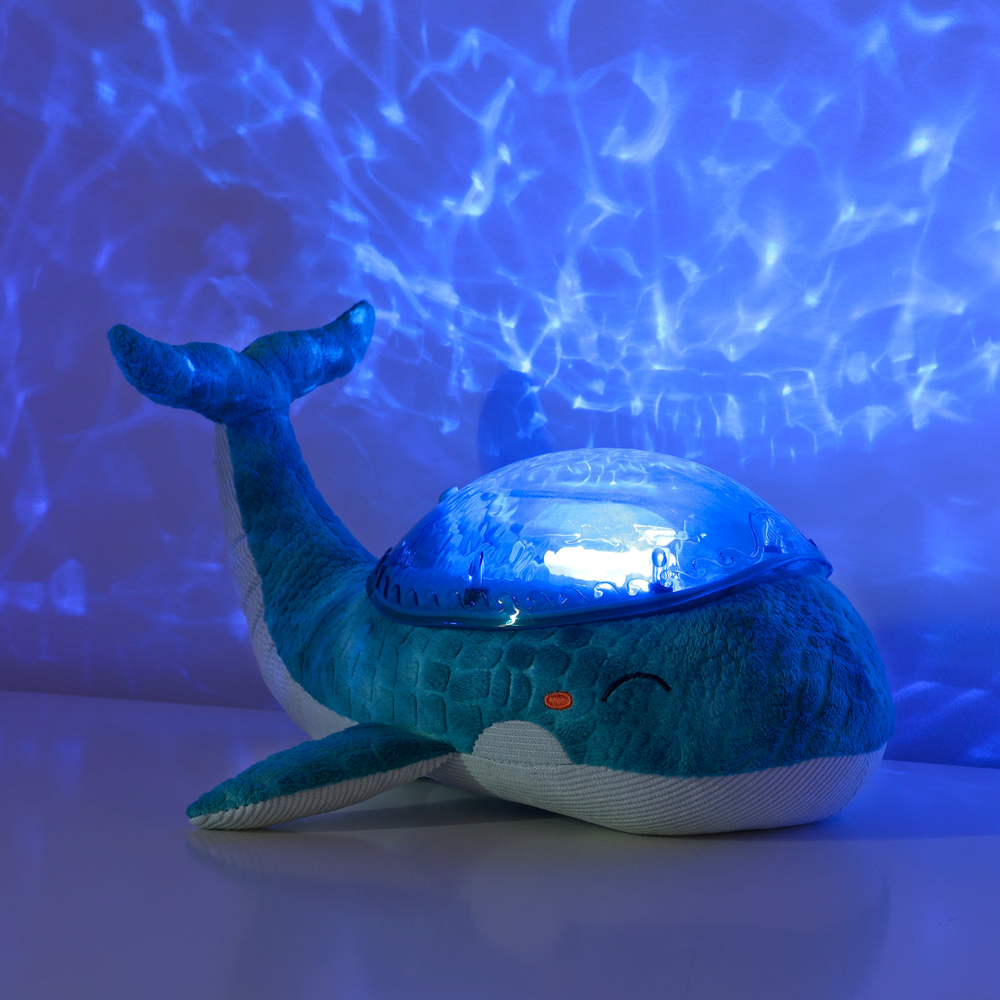 Tranquil Whale™  - Blue Family