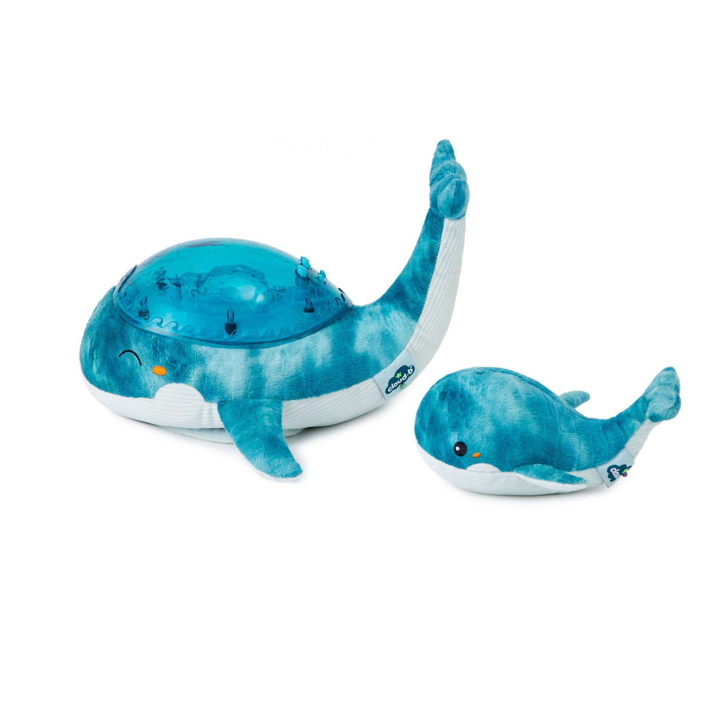 Tranquil Whale™  - Blue Family
