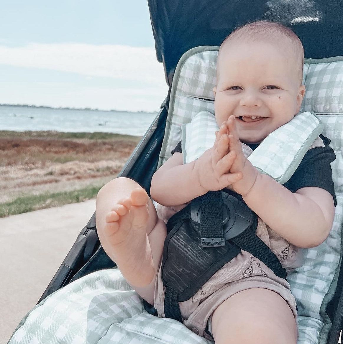 Harness Covers & Pram Pegs - Gingham Sage