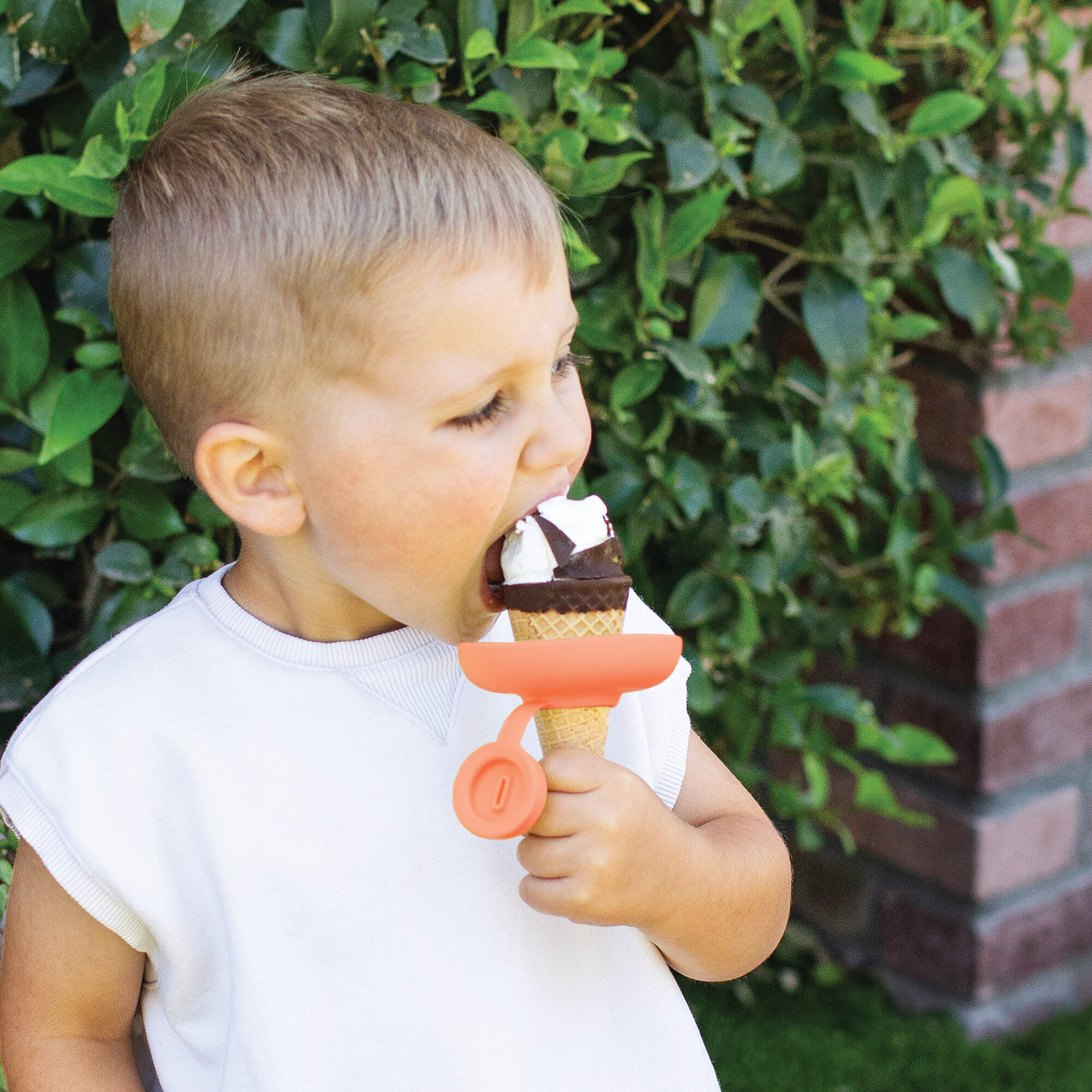 Drizzle Ice Cream Holder with Case