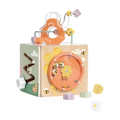 Honeybee Activity Cube