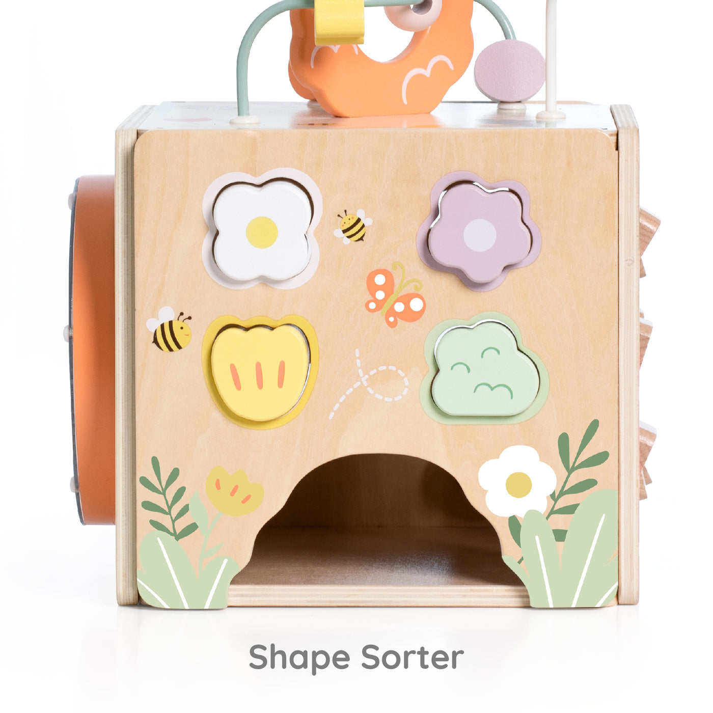 Honeybee Activity Cube