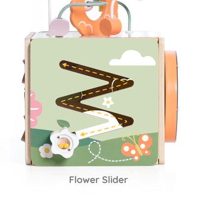 Honeybee Activity Cube