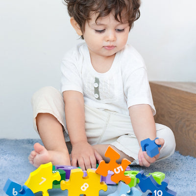 Dinosaur Digit Puzzle