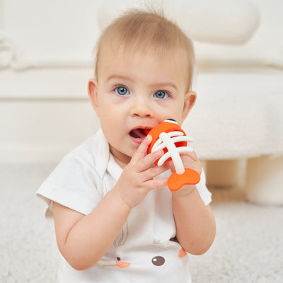 Clownfish Soothing Teether Toy
