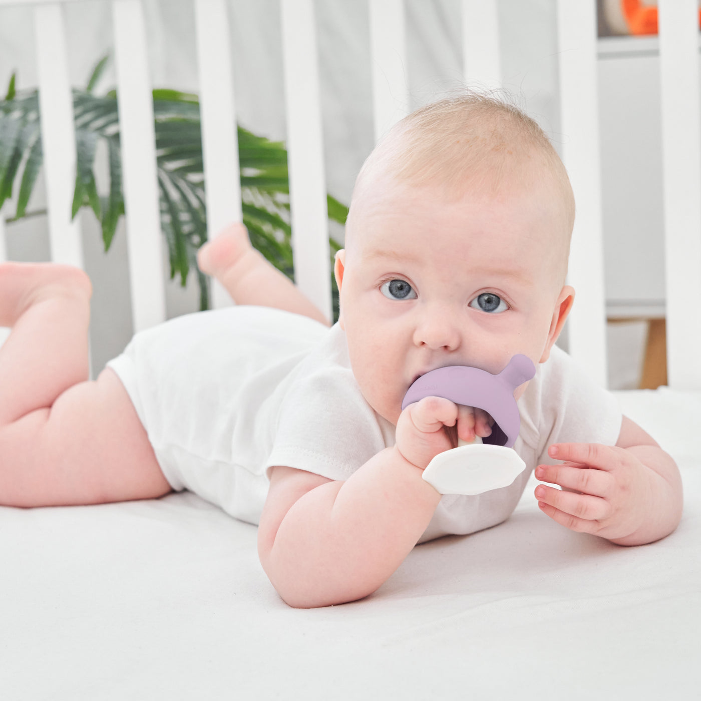 Mushroom Teether - Lavender