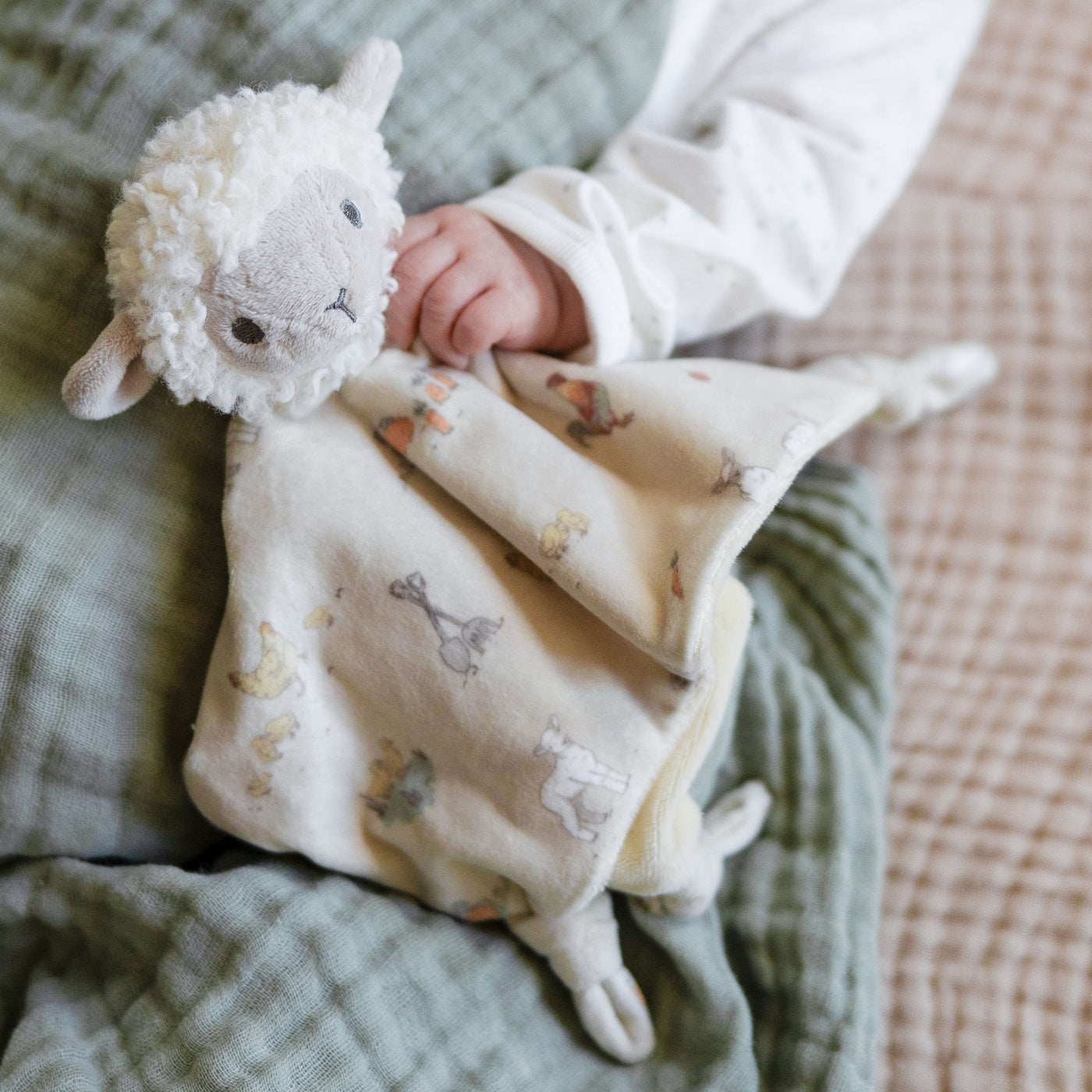 Lovie/Comforter - Farmyard Lamb