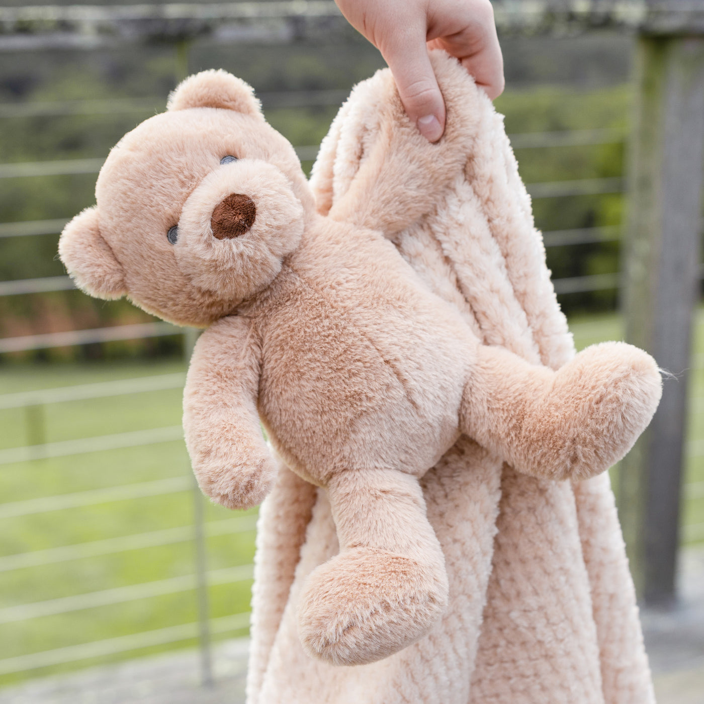 Plush Toy & Blanket - Nectar Bear