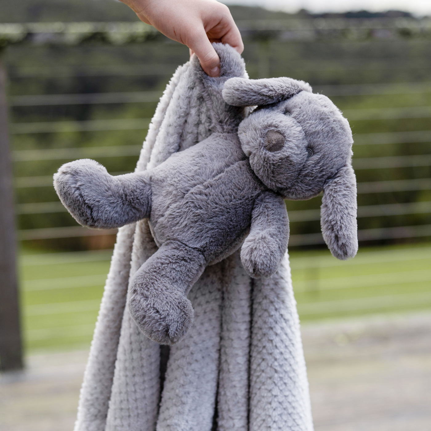 Plush Toy & Blanket - Barklife Dog