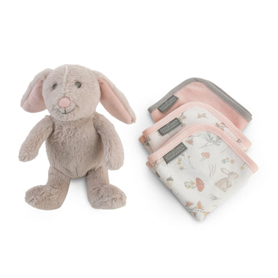 Plush Toy & Washers - Harvest Bunny