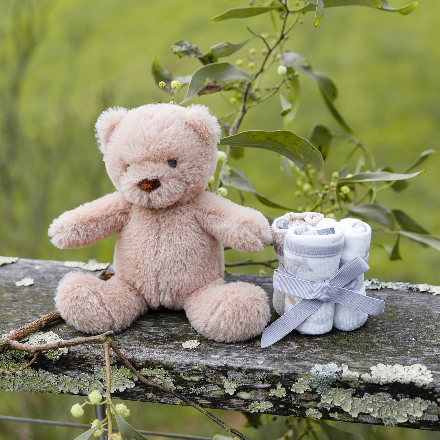 Plush Toy & Washers - Nectar Bear