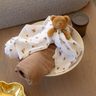 Lovie/Comforter - Teddy the Bear