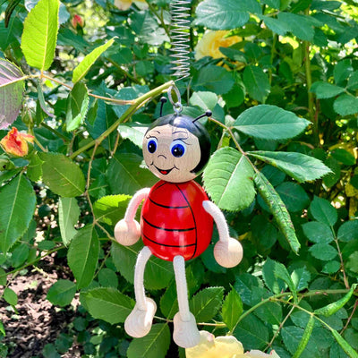 Krokido Ladybird