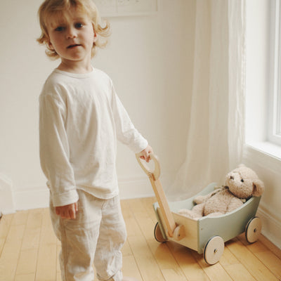 Pull Wagon