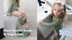 Toilet training seat