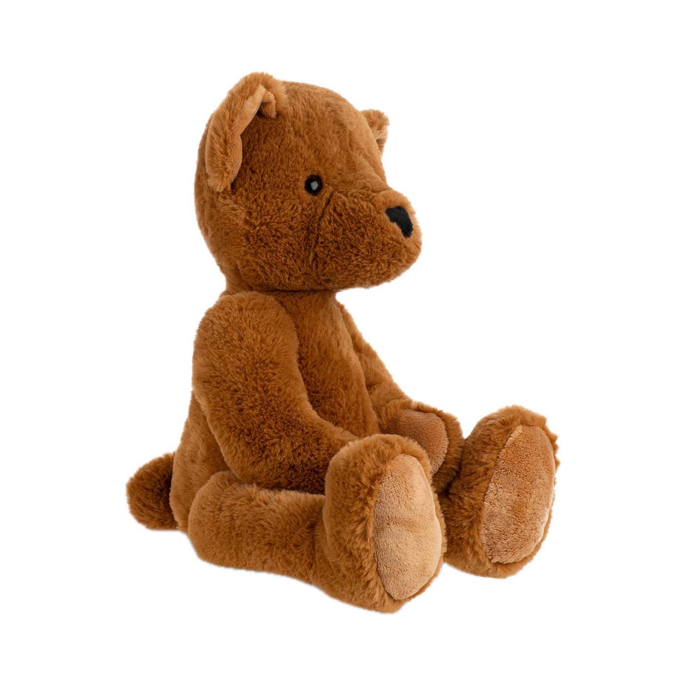 Theodore Teddy