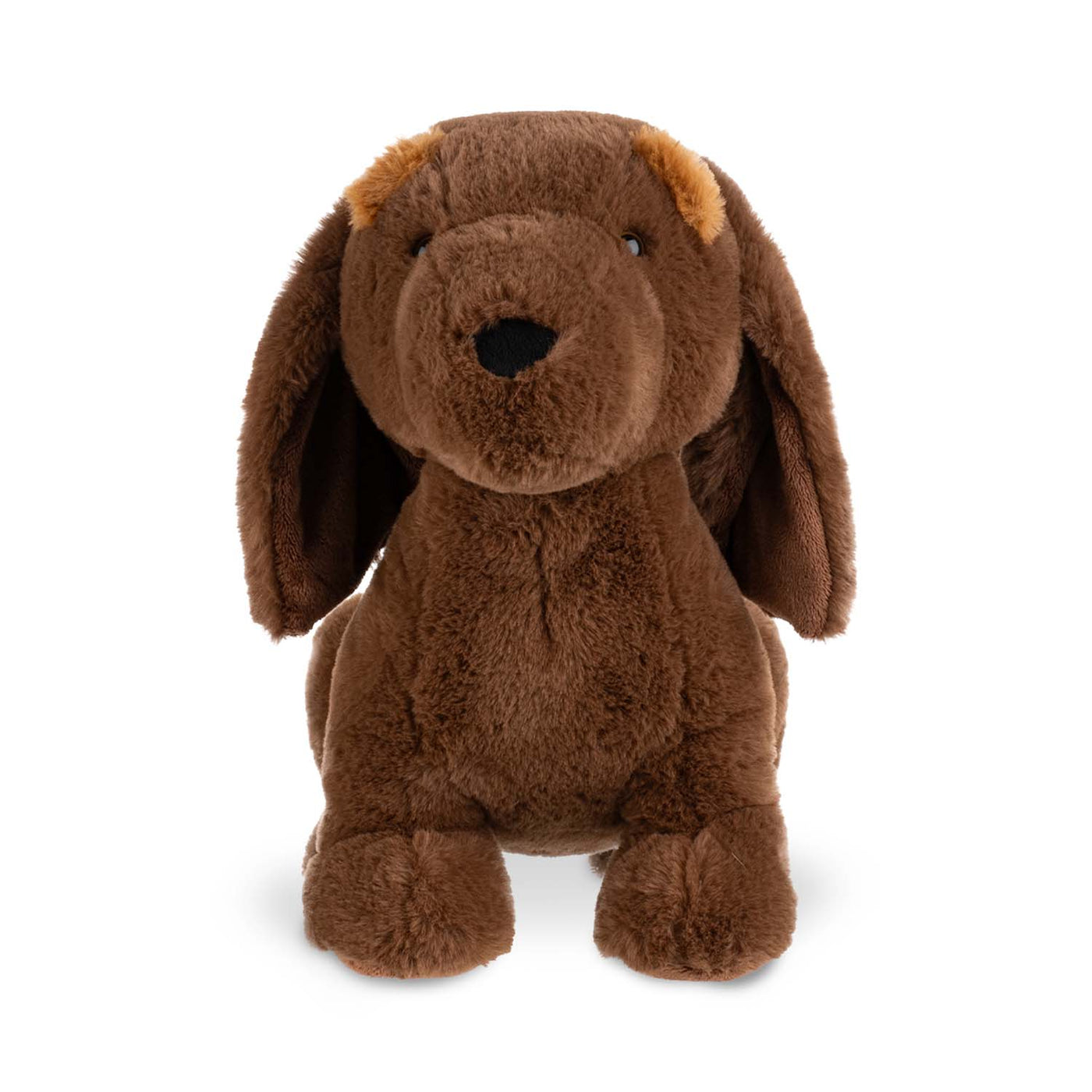 Lump Dachshund