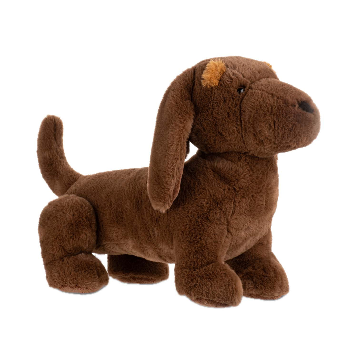 Lump Dachshund