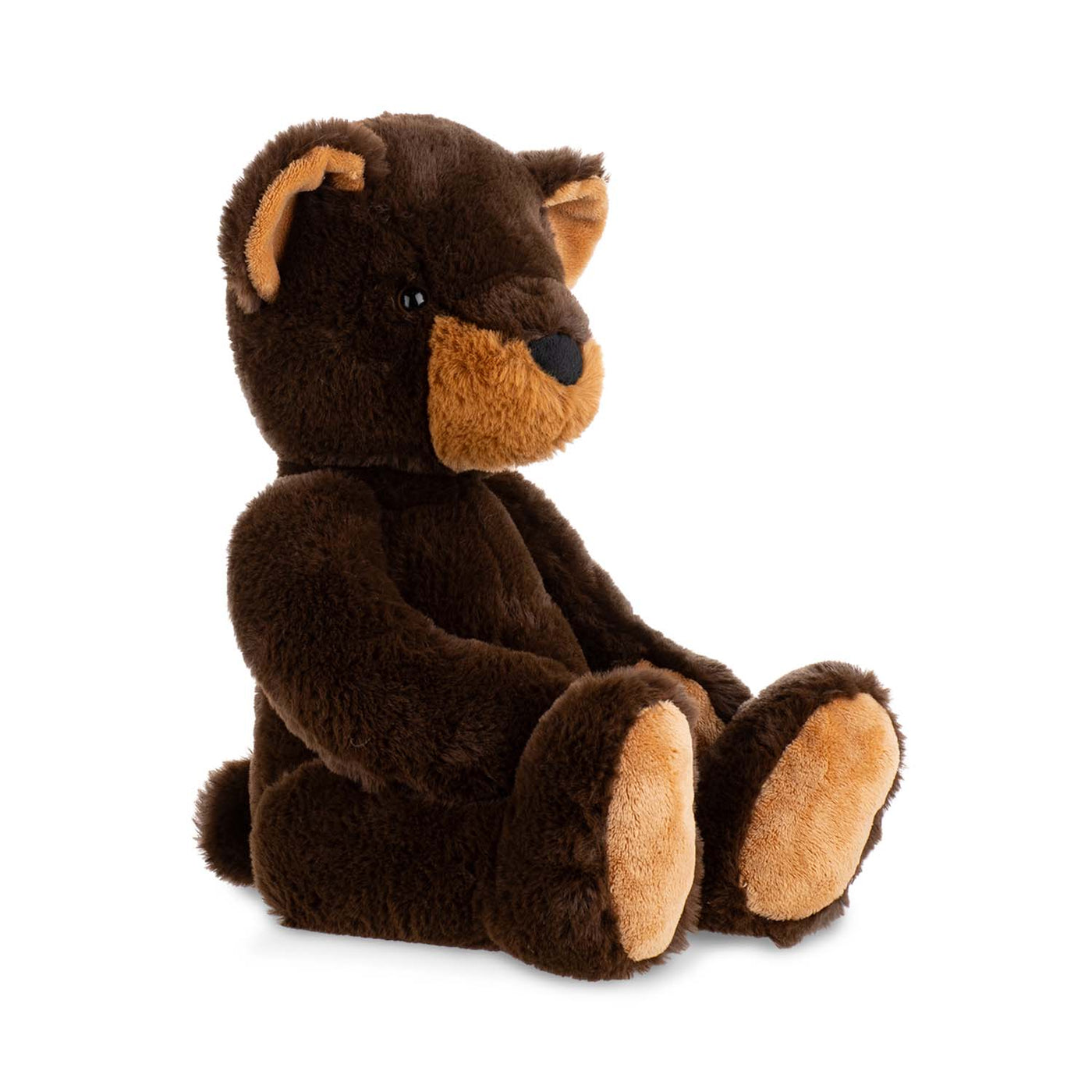 Winniepeg Black Bear