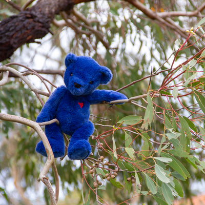 Blue Ted - Teddy Bear