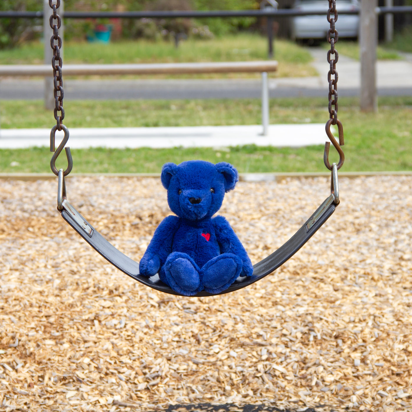 Blue Ted - Teddy Bear