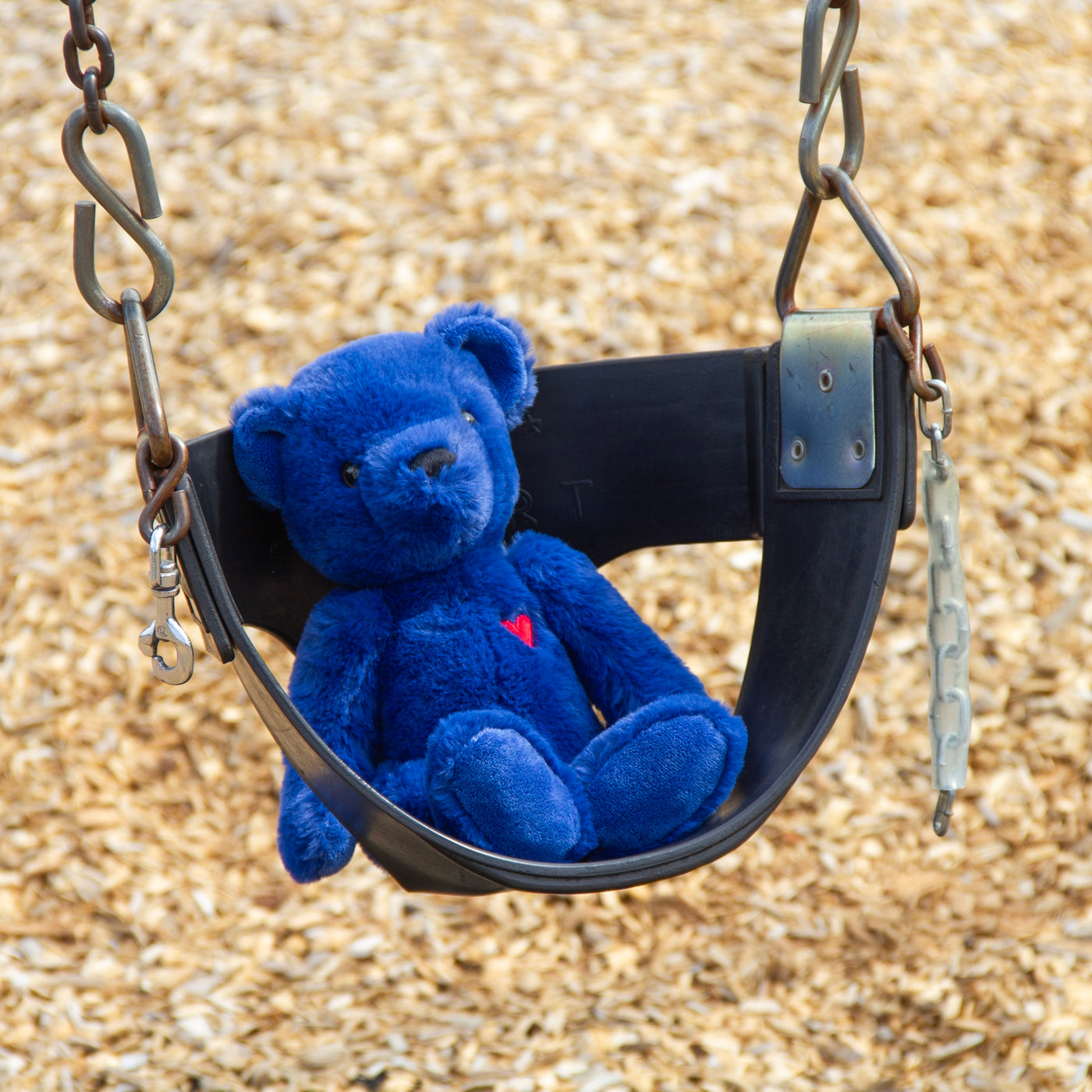 Blue Ted - Teddy Bear