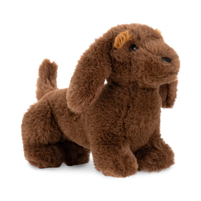 Lump Dachshund