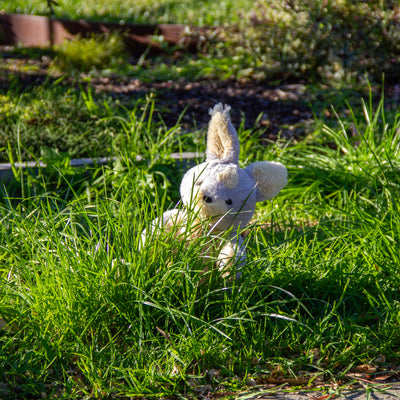 Margic Rabbit Ili Pika