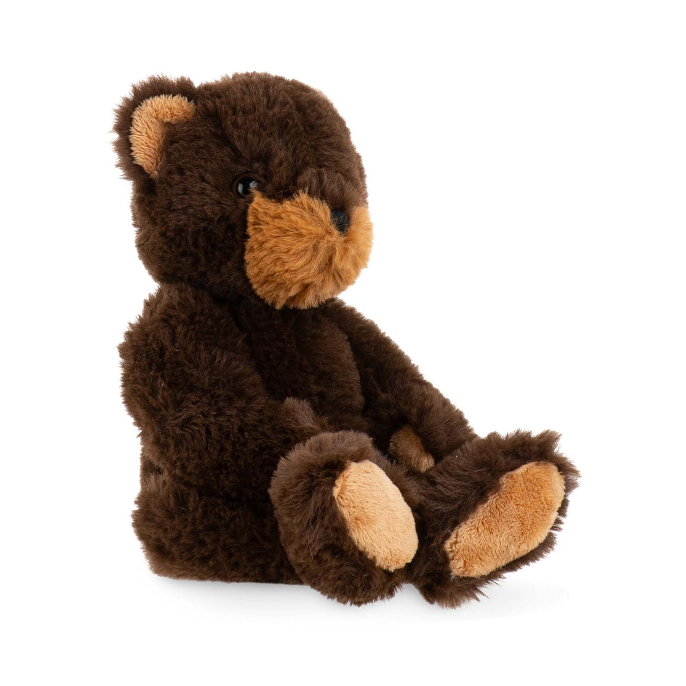 Winniepeg Black Bear