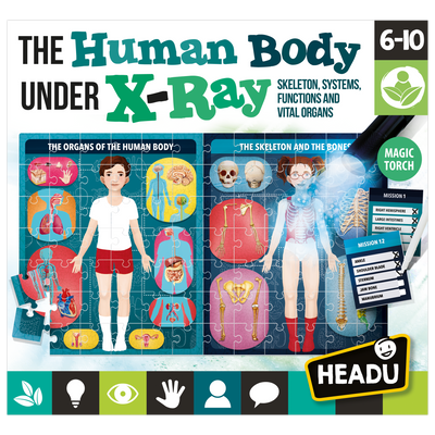 The Human Body under X-Ray